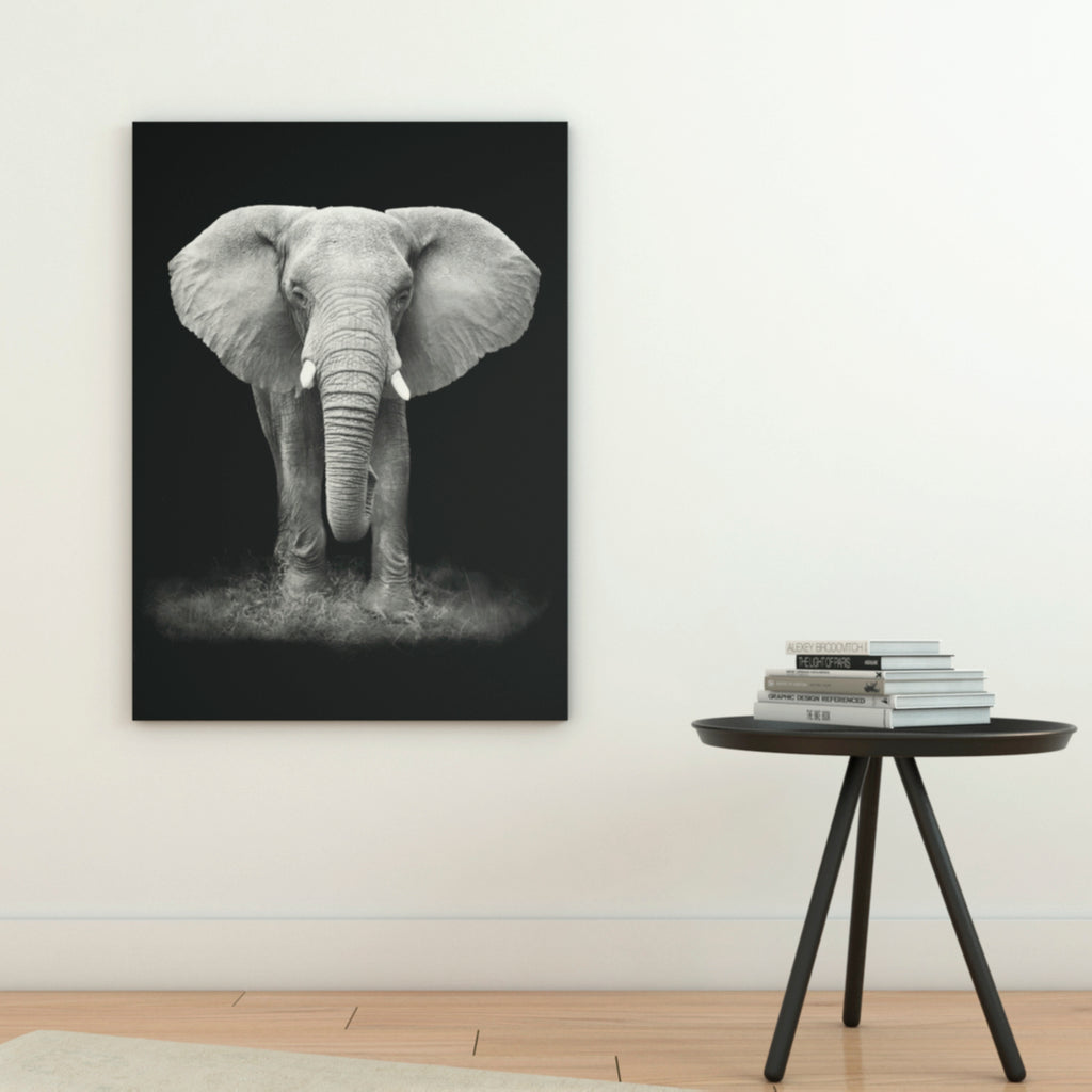 Cuadro Decorativo - Elefante.